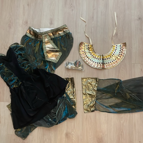 Egyptian Goddess Costume - Picture 2 of 6